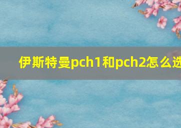 伊斯特曼pch1和pch2怎么选