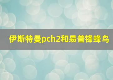 伊斯特曼pch2和易普锋蜂鸟