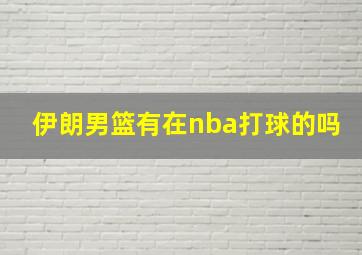 伊朗男篮有在nba打球的吗