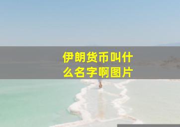 伊朗货币叫什么名字啊图片