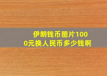 伊朗钱币图片1000元换人民币多少钱啊