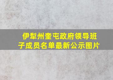 伊犁州奎屯政府领导班子成员名单最新公示图片