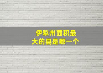 伊犁州面积最大的县是哪一个