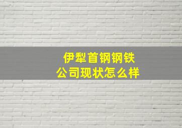 伊犁首钢钢铁公司现状怎么样