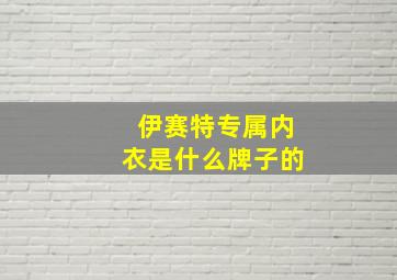 伊赛特专属内衣是什么牌子的