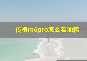 传祺m6pro怎么看油耗