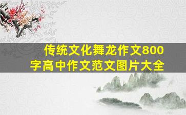 传统文化舞龙作文800字高中作文范文图片大全