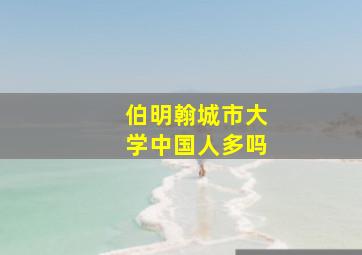 伯明翰城市大学中国人多吗