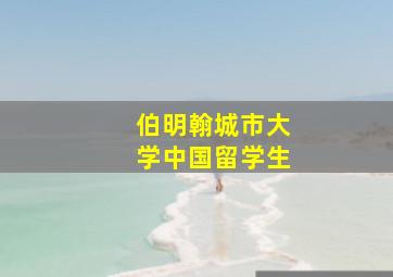 伯明翰城市大学中国留学生