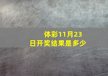 体彩11月23日开奖结果是多少