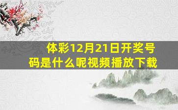 体彩12月21日开奖号码是什么呢视频播放下载