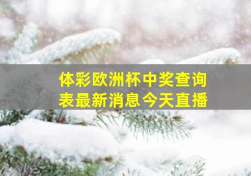 体彩欧洲杯中奖查询表最新消息今天直播