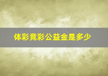 体彩竞彩公益金是多少