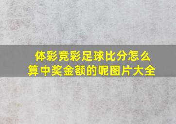 体彩竞彩足球比分怎么算中奖金额的呢图片大全