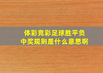 体彩竞彩足球胜平负中奖规则是什么意思啊