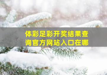 体彩足彩开奖结果查询官方网站入口在哪