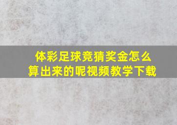 体彩足球竞猜奖金怎么算出来的呢视频教学下载