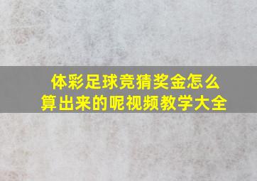 体彩足球竞猜奖金怎么算出来的呢视频教学大全