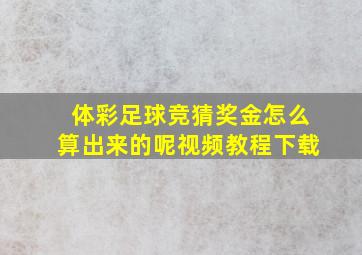 体彩足球竞猜奖金怎么算出来的呢视频教程下载