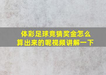 体彩足球竞猜奖金怎么算出来的呢视频讲解一下