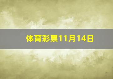 体育彩票11月14日