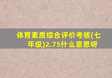 体育素质综合评价考核(七年级)2.75什么意思呀