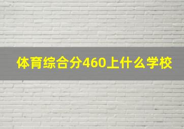 体育综合分460上什么学校