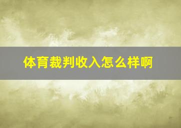 体育裁判收入怎么样啊