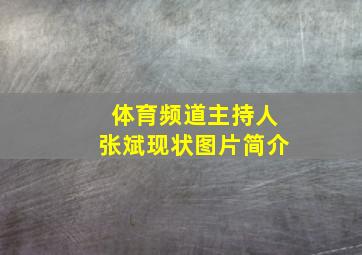 体育频道主持人张斌现状图片简介