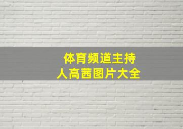 体育频道主持人高茜图片大全