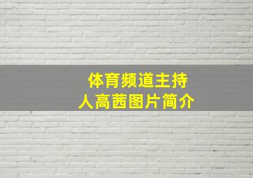 体育频道主持人高茜图片简介