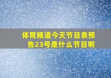 体育频道今天节目表预告23号是什么节目啊