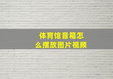 体育馆音箱怎么摆放图片视频