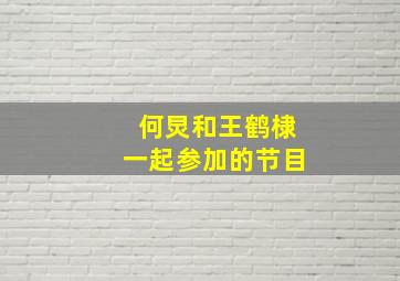 何炅和王鹤棣一起参加的节目