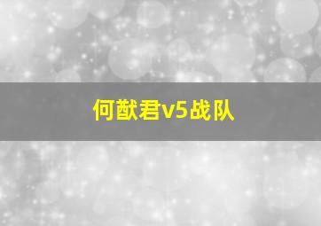 何猷君v5战队