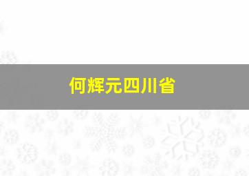 何辉元四川省