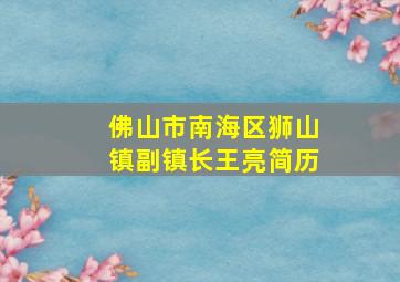 佛山市南海区狮山镇副镇长王亮简历