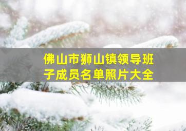 佛山市狮山镇领导班子成员名单照片大全