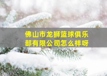 佛山市龙狮篮球俱乐部有限公司怎么样呀