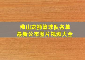 佛山龙狮篮球队名单最新公布图片视频大全