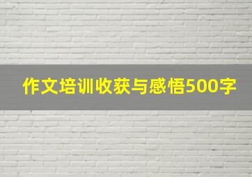 作文培训收获与感悟500字