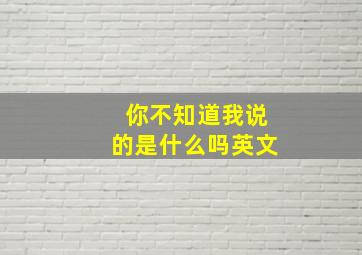 你不知道我说的是什么吗英文