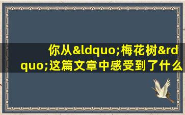 你从“梅花树”这篇文章中感受到了什么