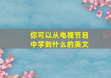 你可以从电视节目中学到什么的英文