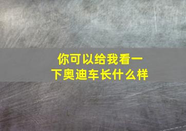 你可以给我看一下奥迪车长什么样