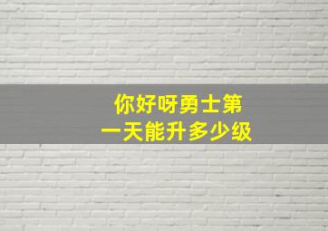 你好呀勇士第一天能升多少级