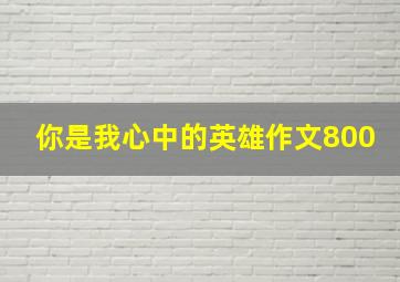 你是我心中的英雄作文800