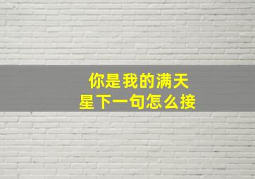 你是我的满天星下一句怎么接