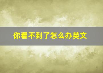 你看不到了怎么办英文