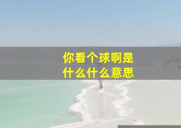 你看个球啊是什么什么意思